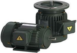 利明电机 利明电机